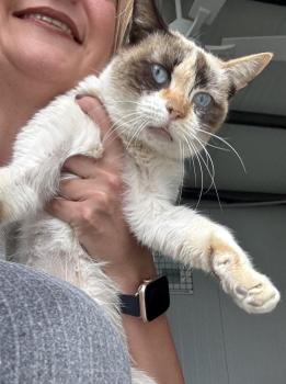 Libby Bild von Libby