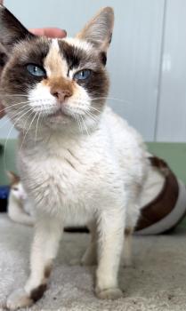 Libby Bild von Libby