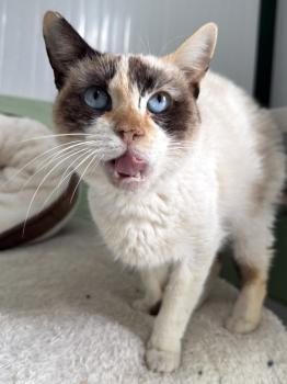 Libby Bild von Libby