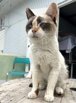 Libby Bild von Libby