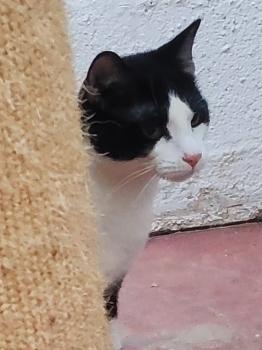 Shari Bild von Shari