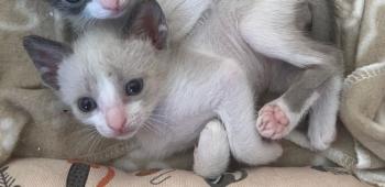 Kai Bild von Kai