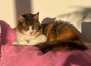 Olga Bild von Olga