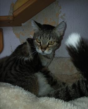 Manuela Bild von Manuela
