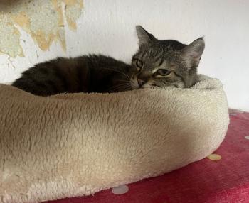 Manuela Bild von Manuela