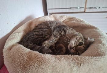 Manuela Bild von Manuela