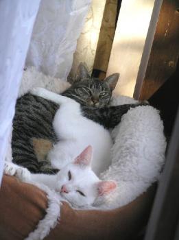 Chiqui und Ginebra Bild von Chiqui