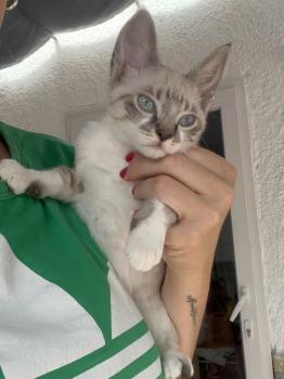 Tina Bild von Tina