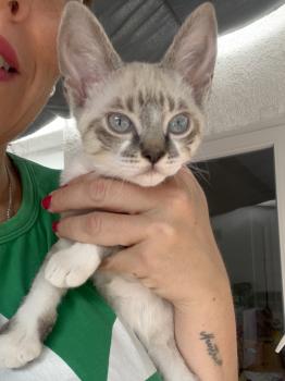 Tina Bild von Tina