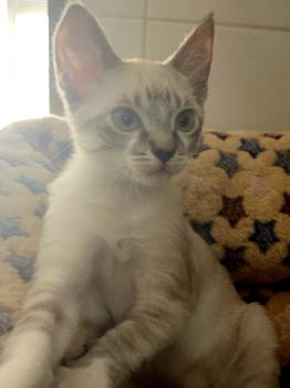 Tina Bild von Tina