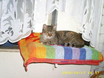 Natasha im neuen Zuhause Bild von Natasha