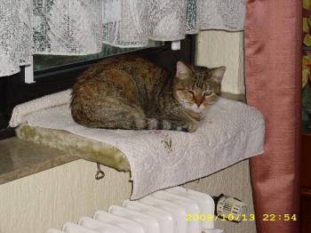 Natasha Bild von Natasha