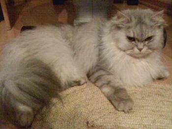 Zoey Bild von Zoey
