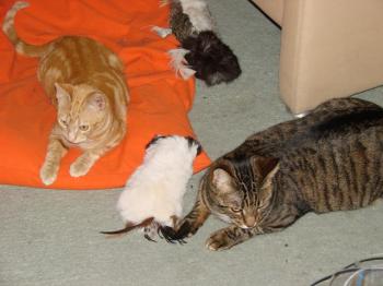 Max Bild von Max