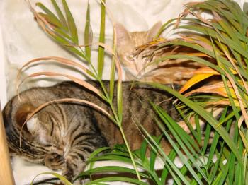 Max Bild von Max