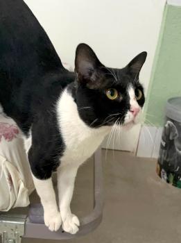 Luis Bild von Luis