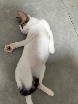 Trixie Bild von Trixie