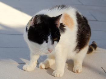 Nori Bild von Nori