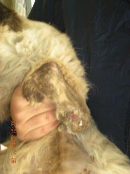 Bild von Klaus
