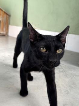 Nyx Bild von Nyx