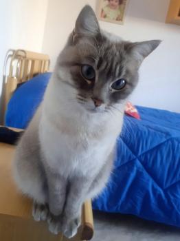 Mia Bild von Mia