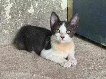 Nena Bild von Nena