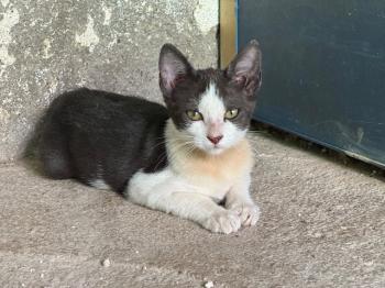 Nena Bild von Nena