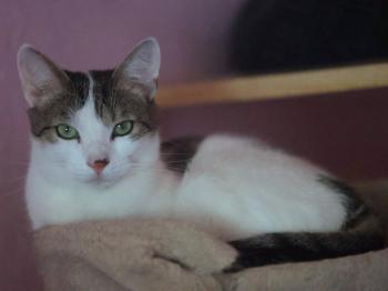 Mascha Bild von Mascha