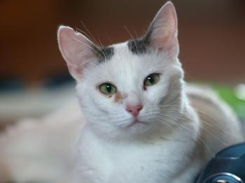 Anastasia Bild von Anastasia