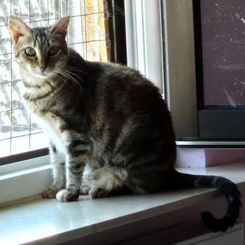 Loretta Bild von Loretta