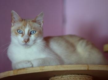 Bild von Snowi