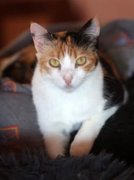Bild von Nina