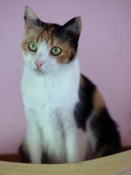 Bild von Nina