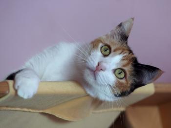 Bild von Nina