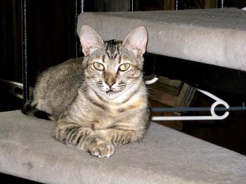 Lucilda Bild von Lucilda