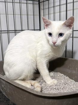 Casper Bild von Casper