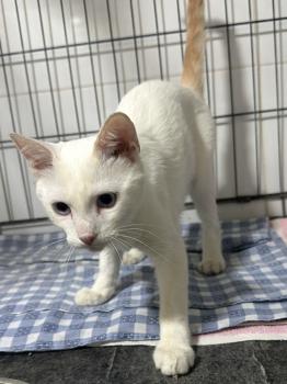 Casper Bild von Casper