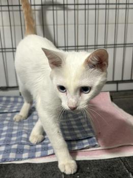 Casper Bild von Casper