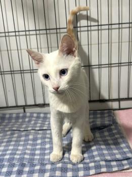 Casper Bild von Casper