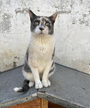 Peti Bild von Peti