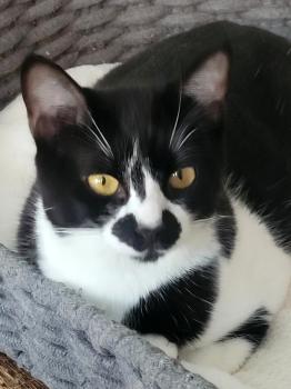Zoe Bild von Zoe