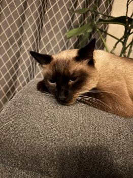 Hansel Bild von Hansel