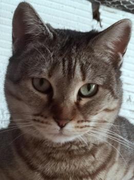 Bild von Mishi