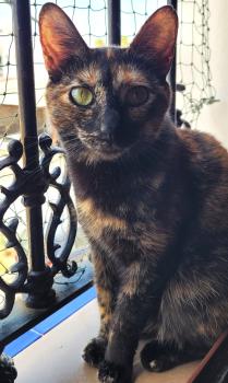 Dorothy Bild von Dorothy