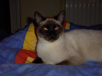 Suso Bild von Suso