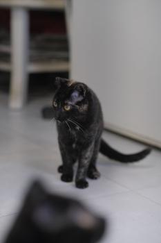 Oti Bild von Oti
