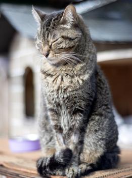 Bild von Zoe