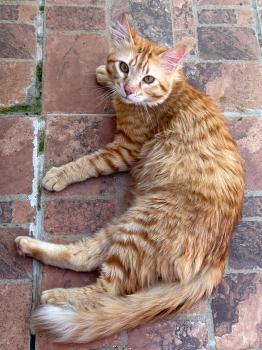 Bild von George