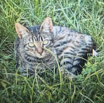 Bild von Minka