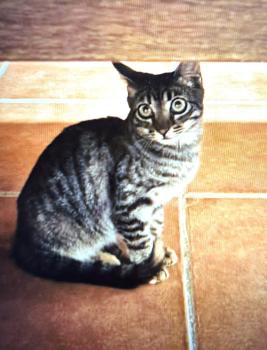 Bild von Minka